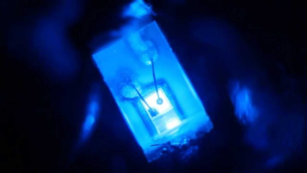 led light under microscope